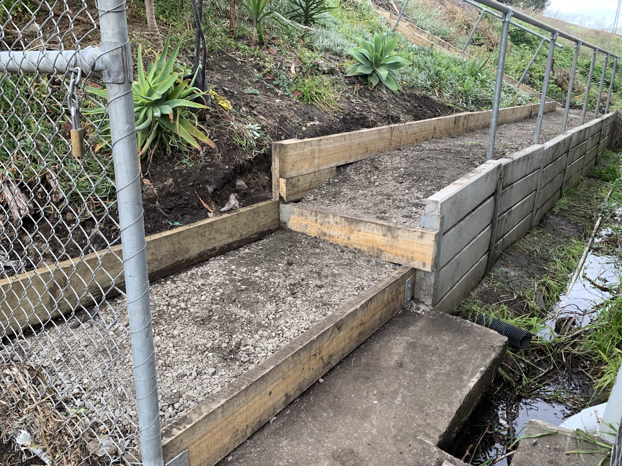 Vegetation management along rail corridor